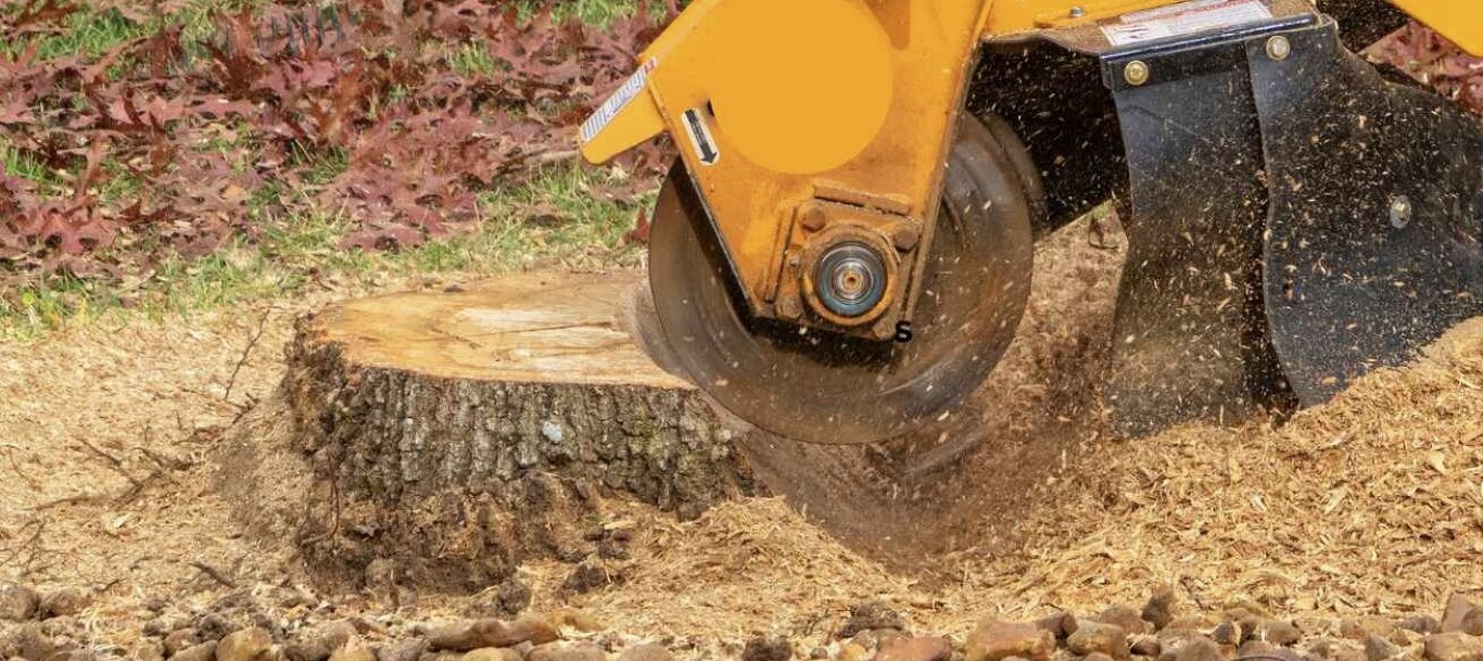 Stump Grinding & Removal service in Lake Charles, LA